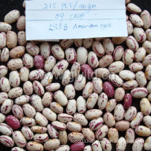 Light Speckled Kidney Bean New Crop High Quality